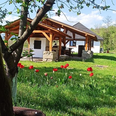 Casa Livada Bunicii Villa Tîrgu Ocna Екстериор снимка