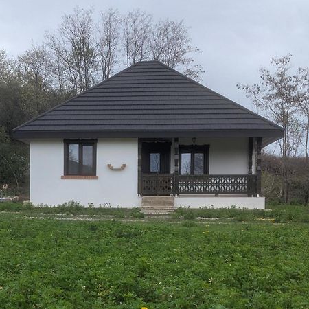 Casa Livada Bunicii Villa Tîrgu Ocna Екстериор снимка