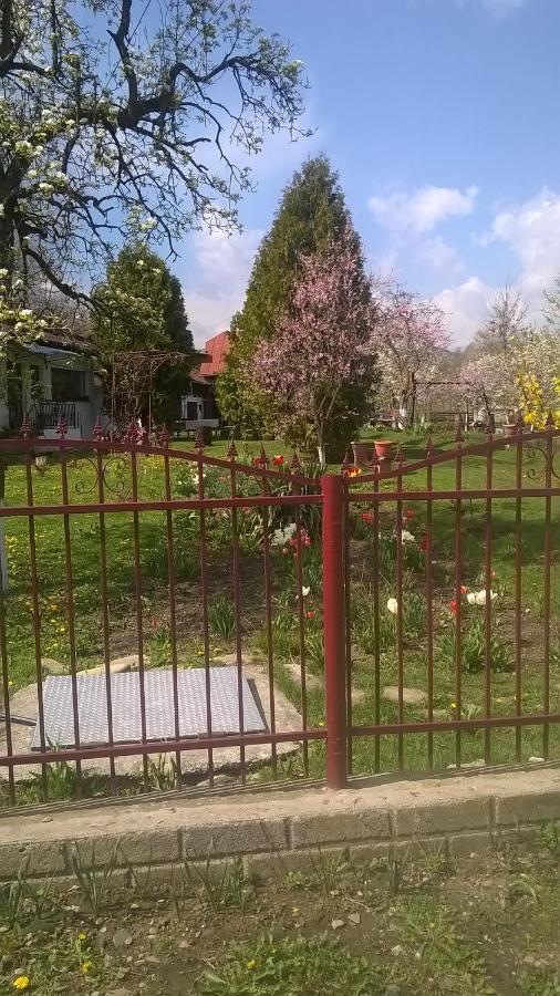 Casa Livada Bunicii Villa Tîrgu Ocna Екстериор снимка