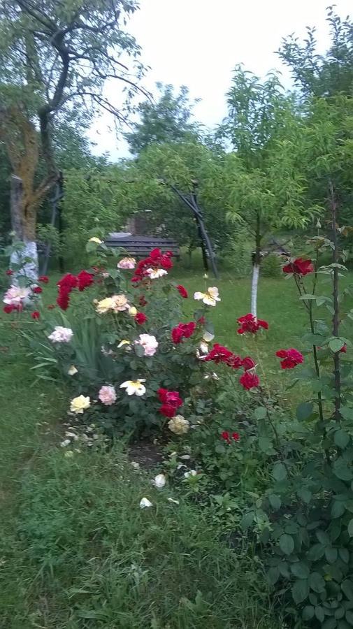 Casa Livada Bunicii Villa Tîrgu Ocna Екстериор снимка
