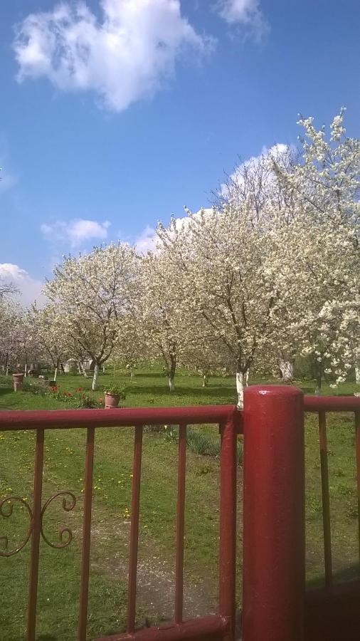 Casa Livada Bunicii Villa Tîrgu Ocna Екстериор снимка