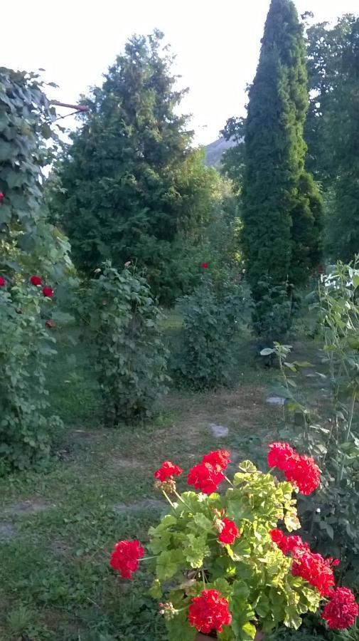 Casa Livada Bunicii Villa Tîrgu Ocna Екстериор снимка