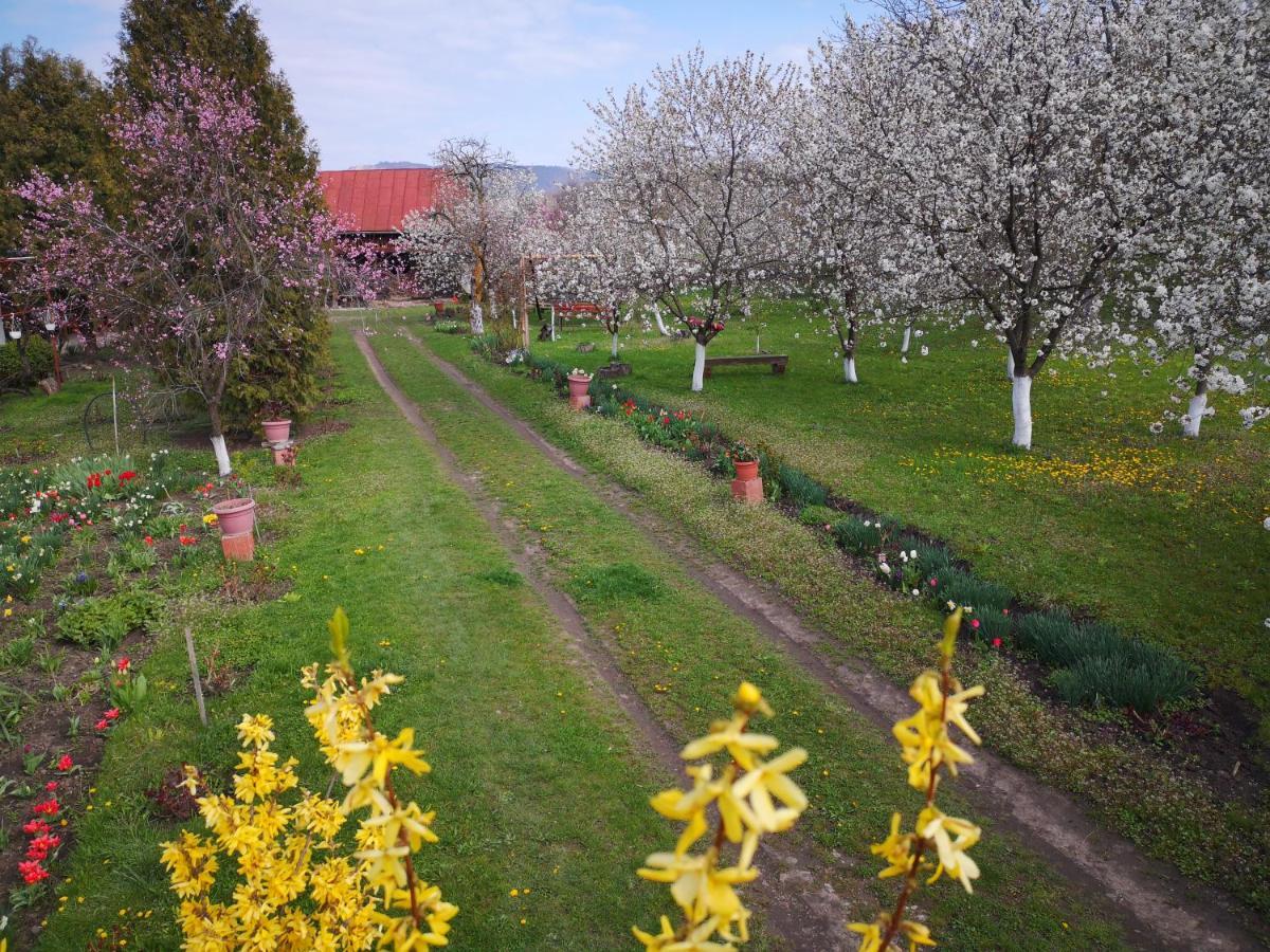 Casa Livada Bunicii Villa Tîrgu Ocna Екстериор снимка