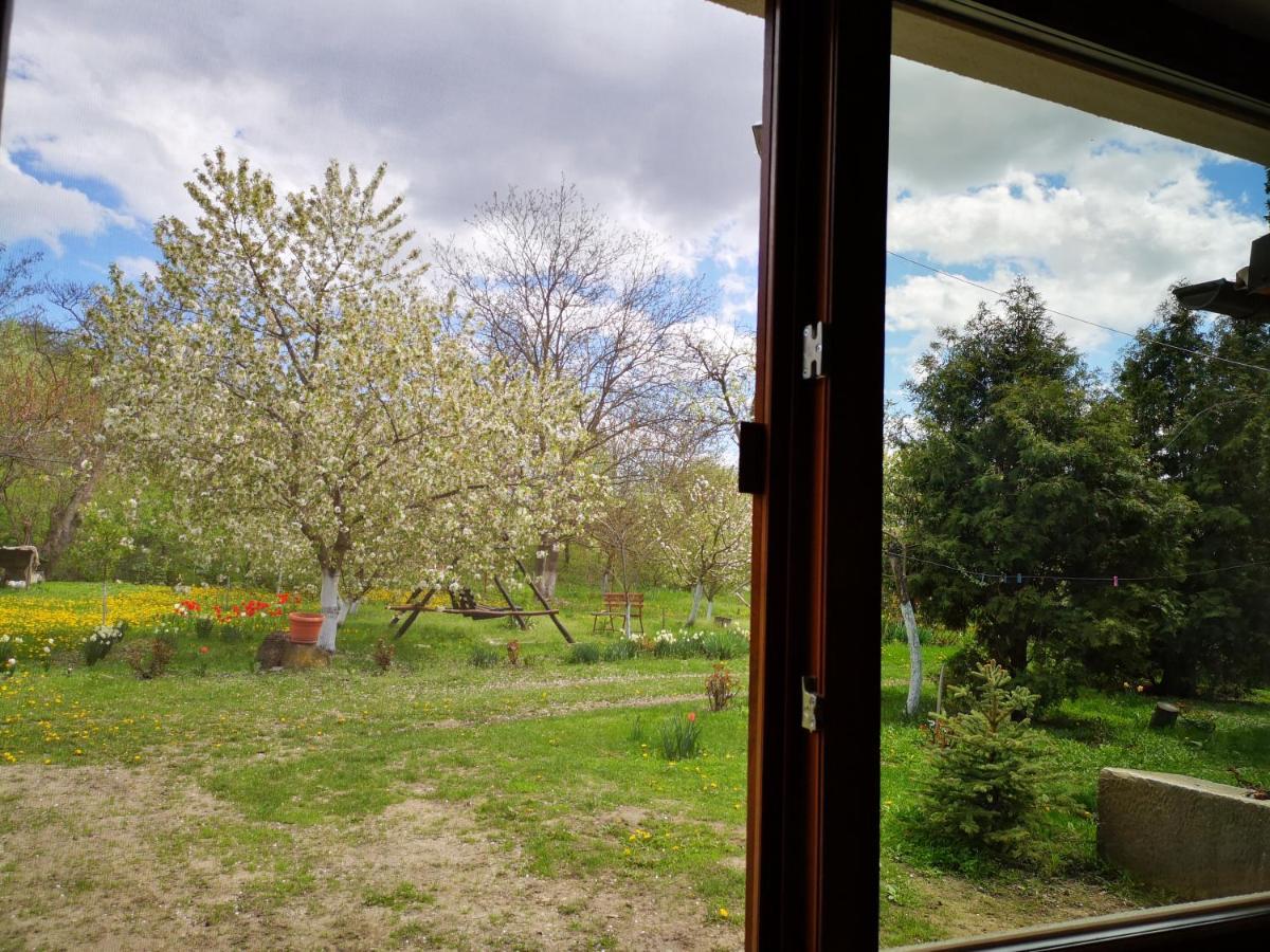 Casa Livada Bunicii Villa Tîrgu Ocna Екстериор снимка