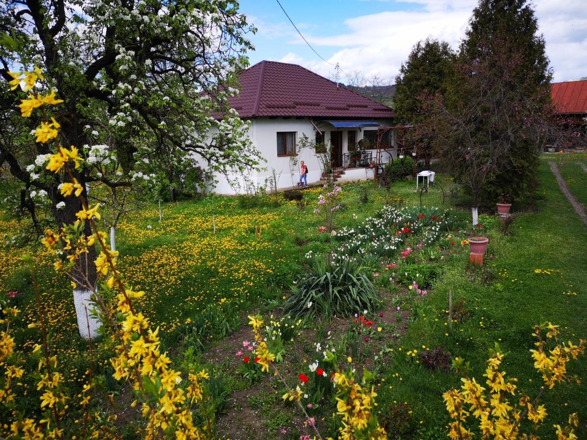 Casa Livada Bunicii Villa Tîrgu Ocna Екстериор снимка
