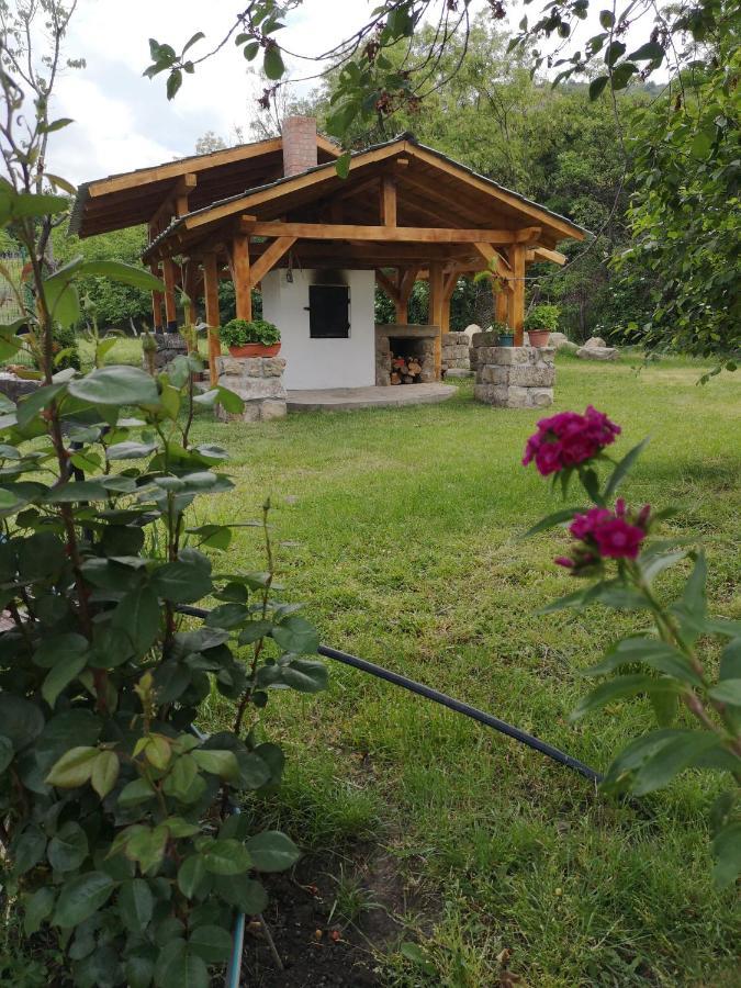 Casa Livada Bunicii Villa Tîrgu Ocna Екстериор снимка