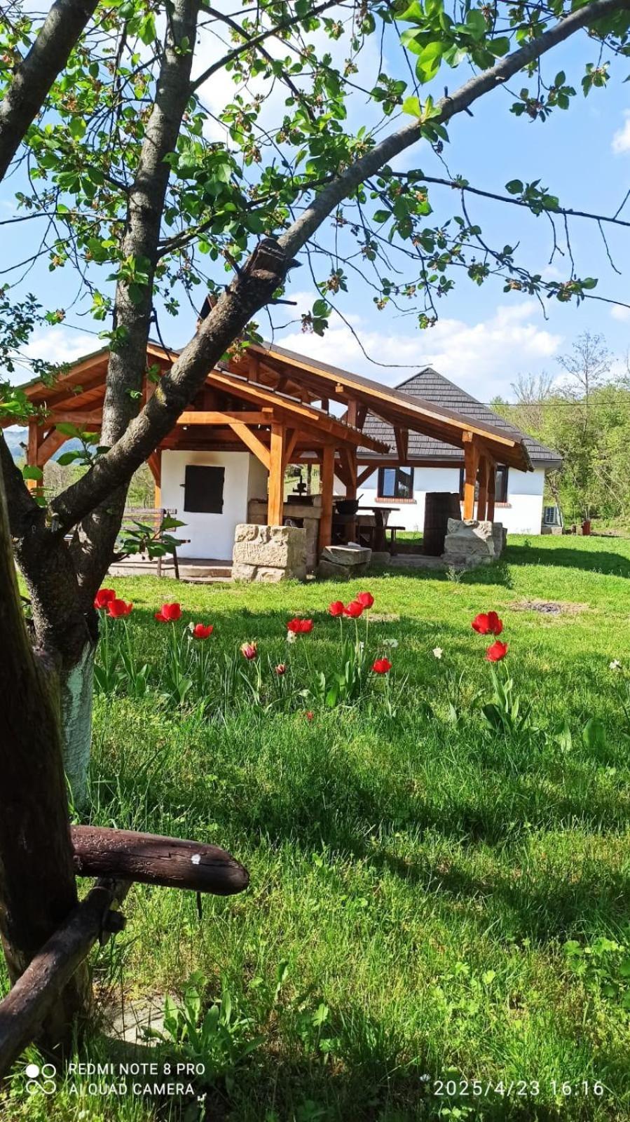 Casa Livada Bunicii Villa Tîrgu Ocna Екстериор снимка
