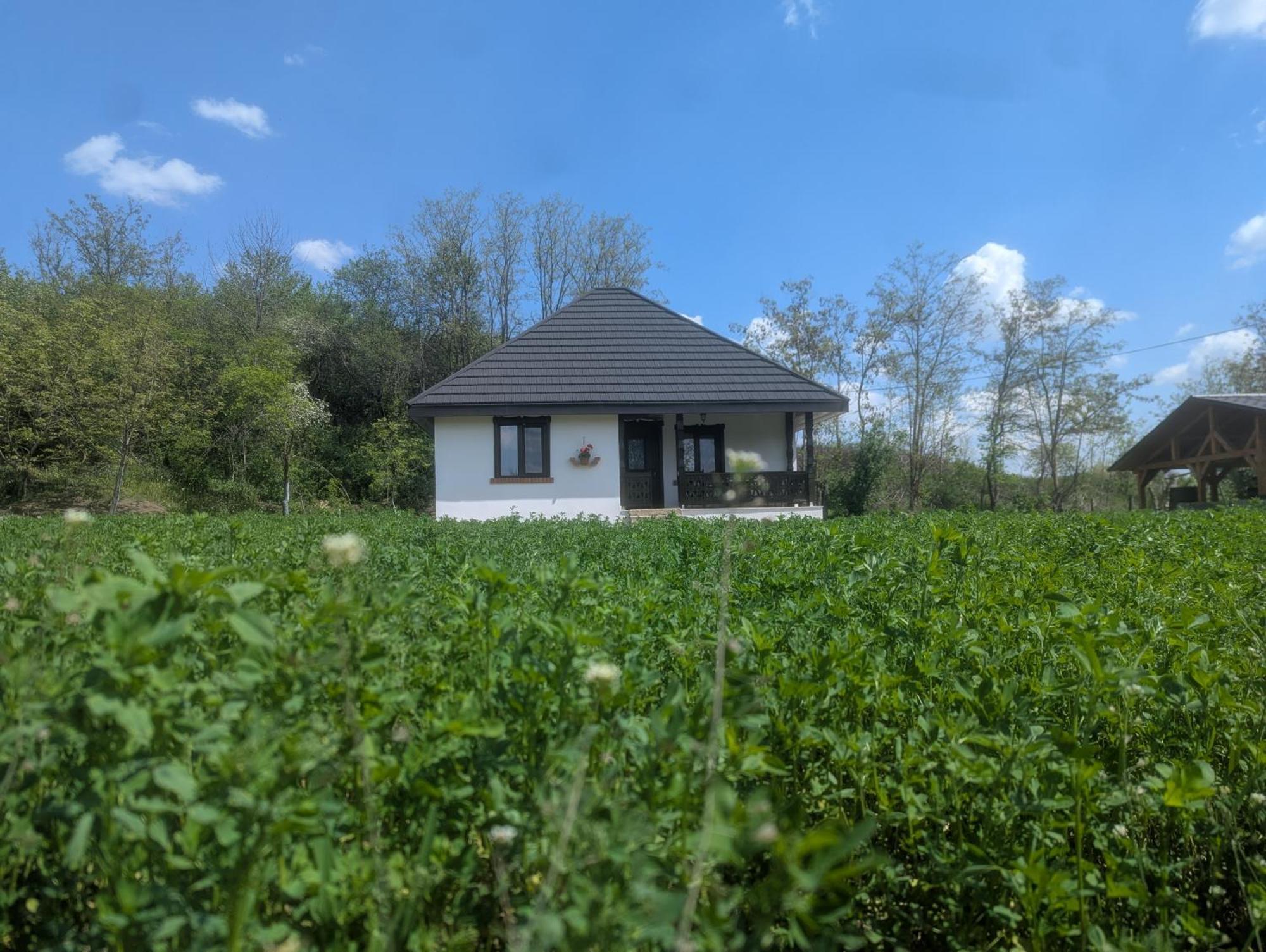 Casa Livada Bunicii Villa Tîrgu Ocna Стая снимка